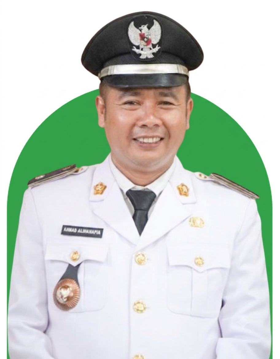 Ahmad Alihanafia, S.Sos